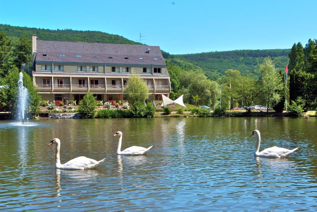 Hotel Du Lac Гебвилер Екстериор снимка